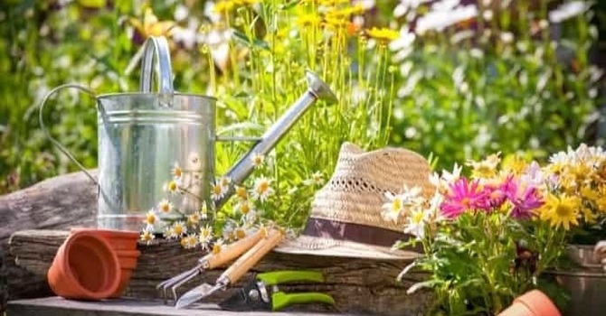 Spring Gardening Tips image
