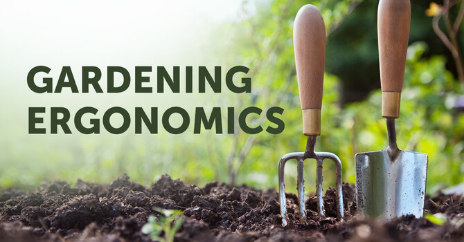 Plant Smarter, Not Harder: Growing your garden without breaking your back image